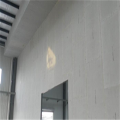 松北新型建筑材料掺多种工业废渣的ALC|ACC|FPS模块板材轻质隔墙板